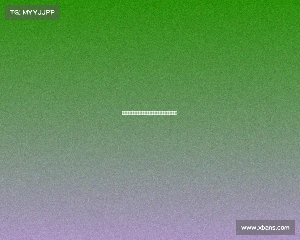 重建中的雷霆：年轻核心崛起与未来发展潜力解析